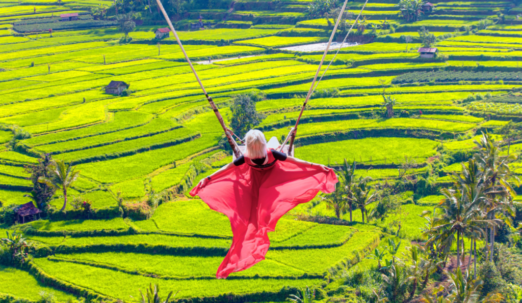 Bali swing over rice fields
