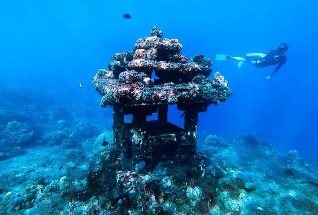 snorkeling amed bali