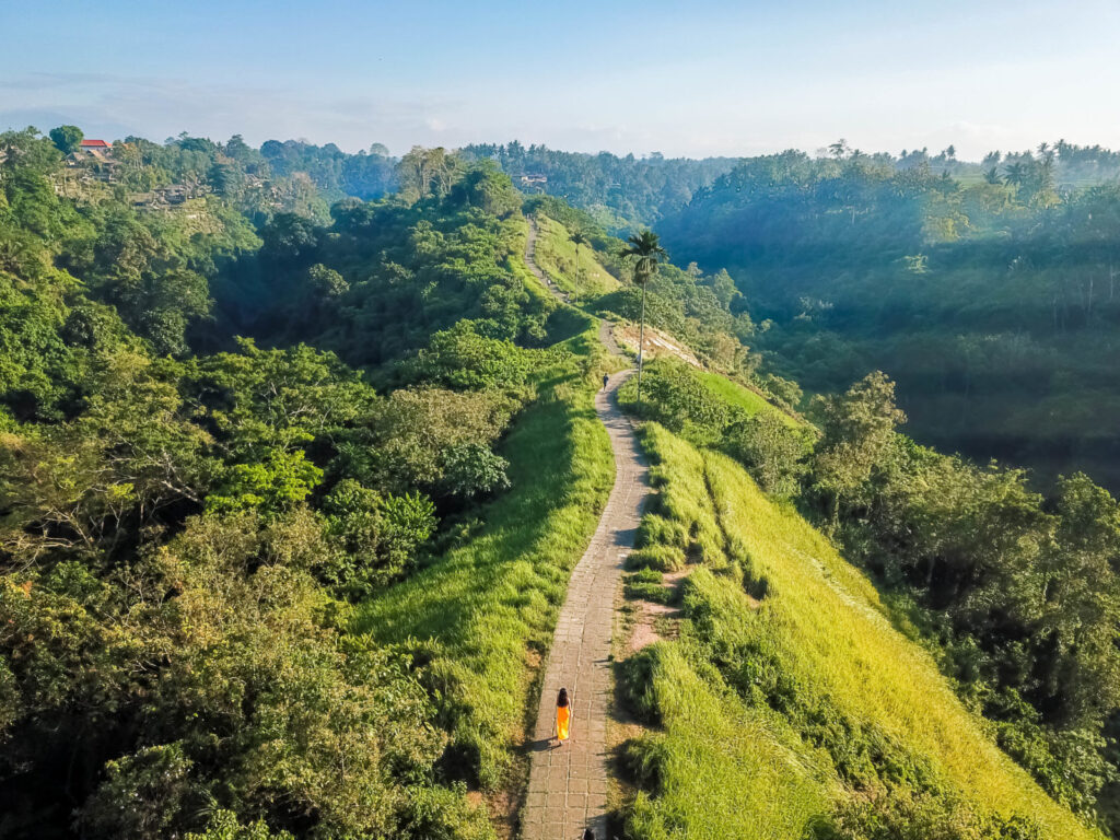 Campuhan Ridge Walk Ubud
